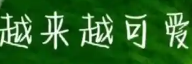 提高拍摄技巧 
